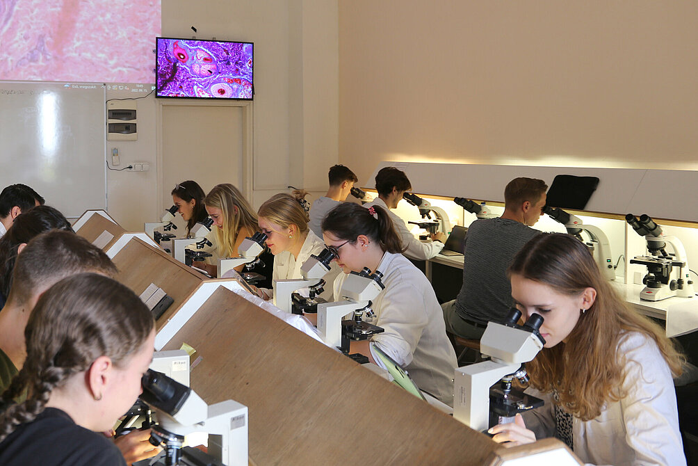 Studenten im Histologiekurs an Mikroskopen